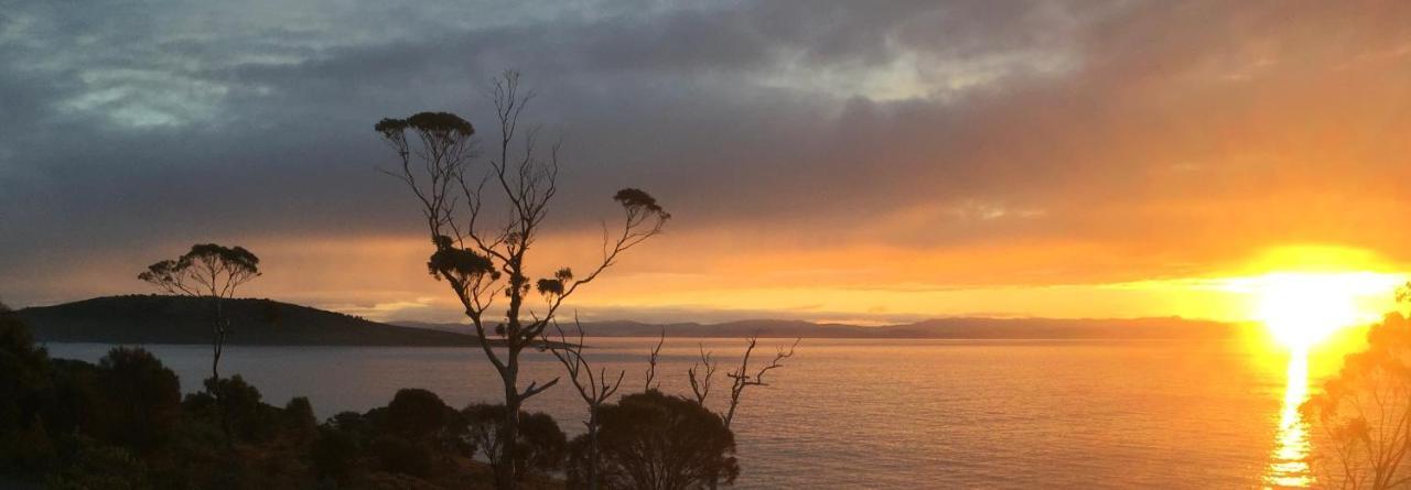 Chill Tasmania Vila White Beach Exterior foto